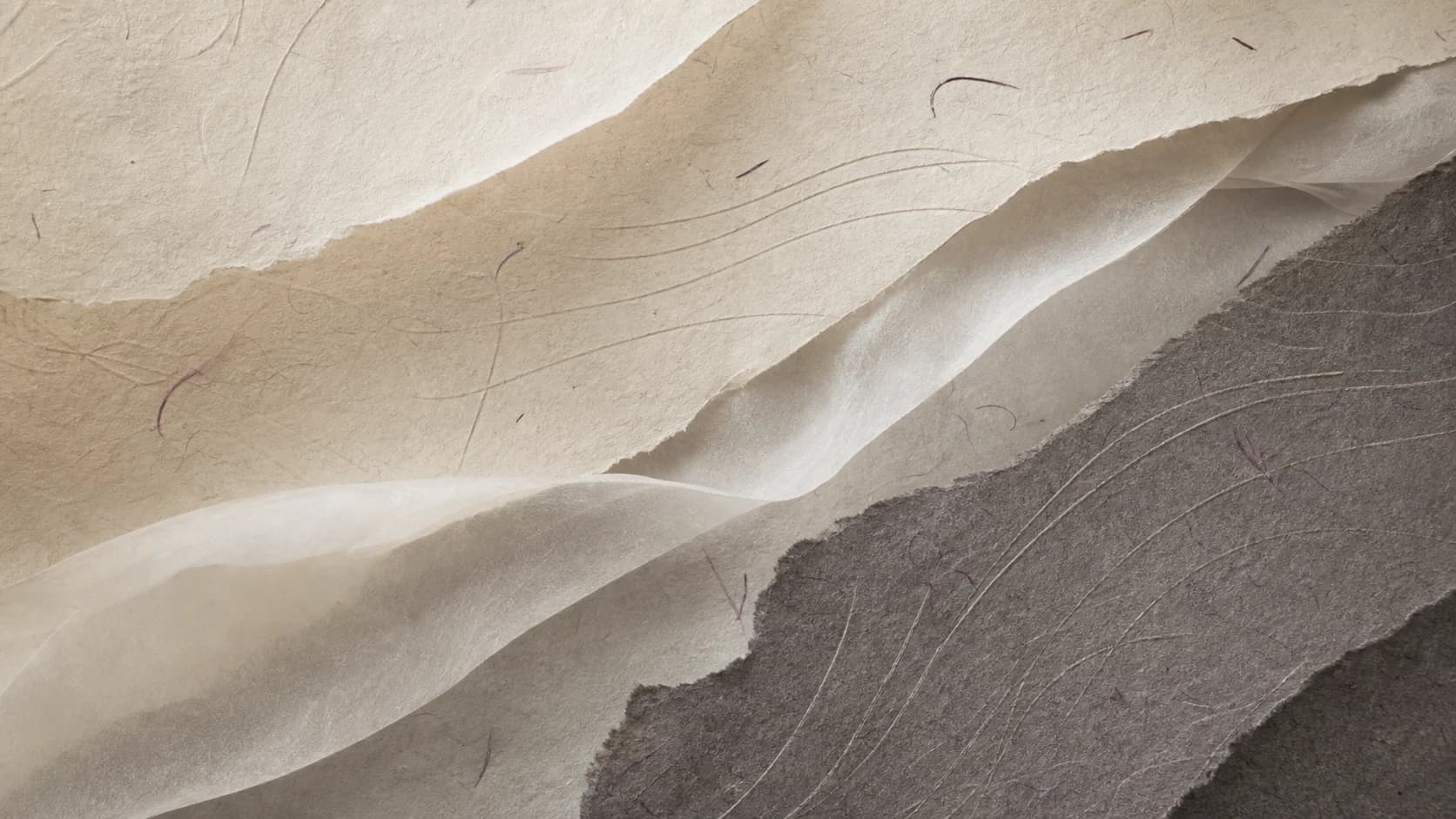 Layered handmade paper and translucent vellum with subtle plum fibres